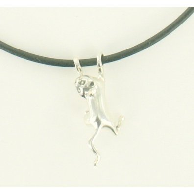Klimmende kat aan choker