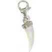 Charm Mother of Pearl