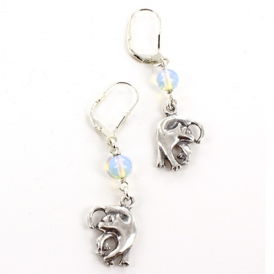 Silver earrings with brisuren