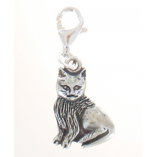 Silver charm of sitting cat